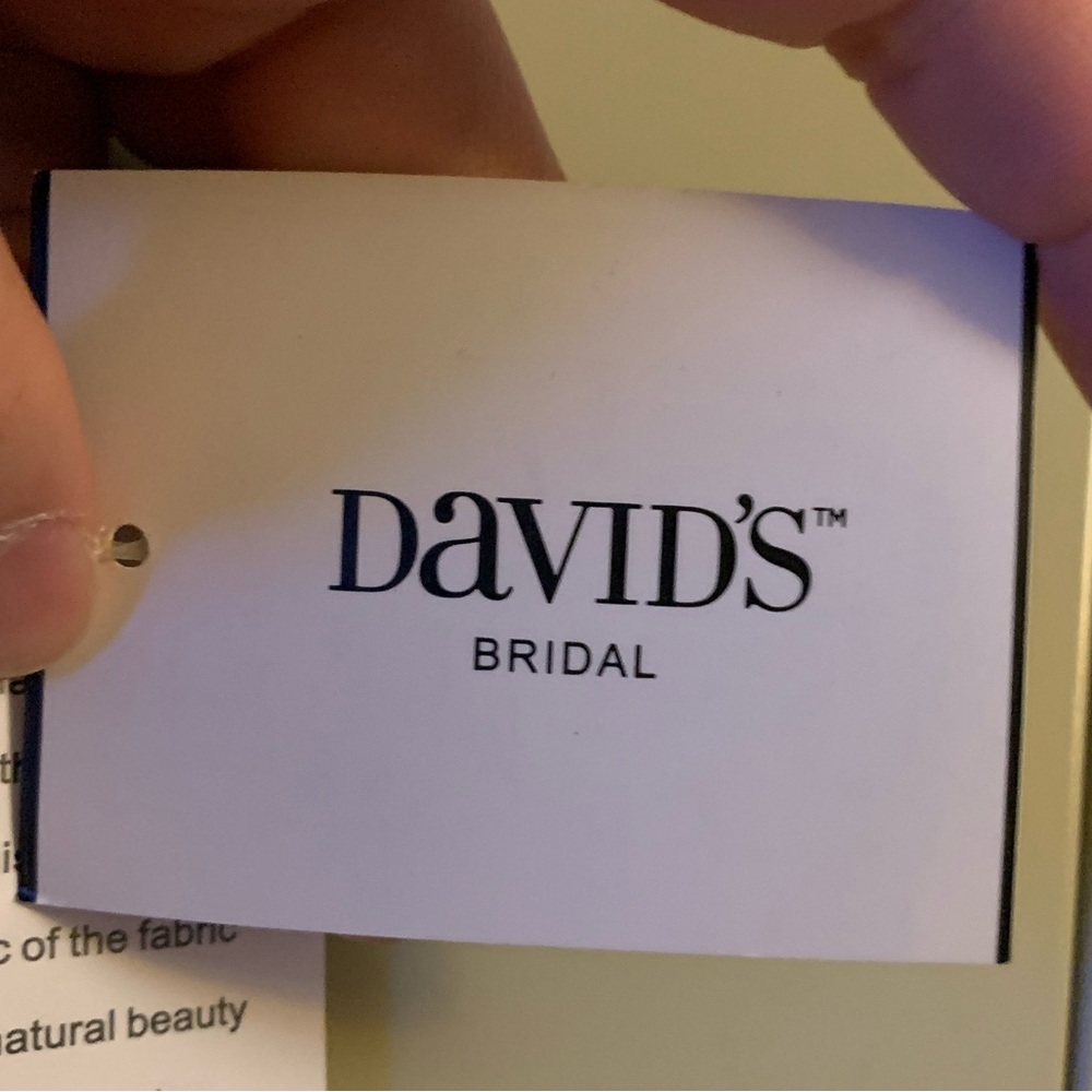 David’s Bridal Dress - Picture 5 of 6